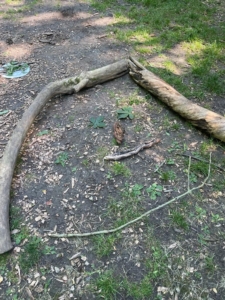 forest school 4th july 3
