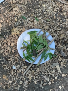 forest school 4th july 5