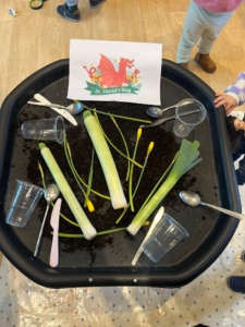 stdavids20242