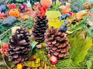 woodland2
