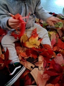 autumnleaves3