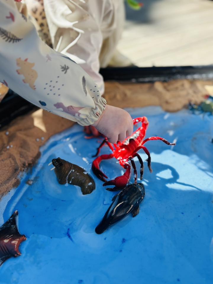 crabs1