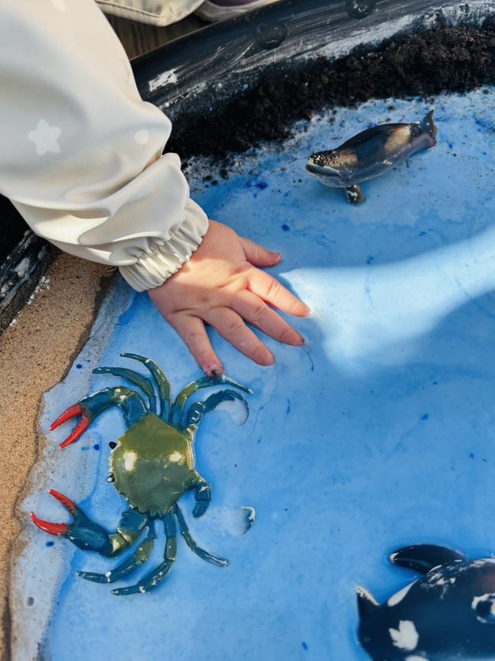 crabs3